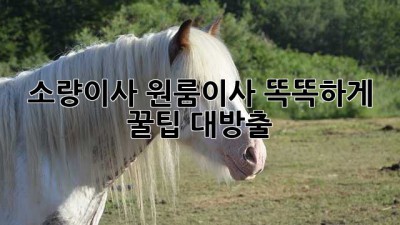 📦 소량이사, 원룸이사 똑똑하게! 꿀팁 대방출 🍯